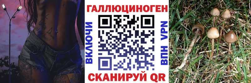 Псилоцибиновые грибы мухоморы  это состав  Карабаш 